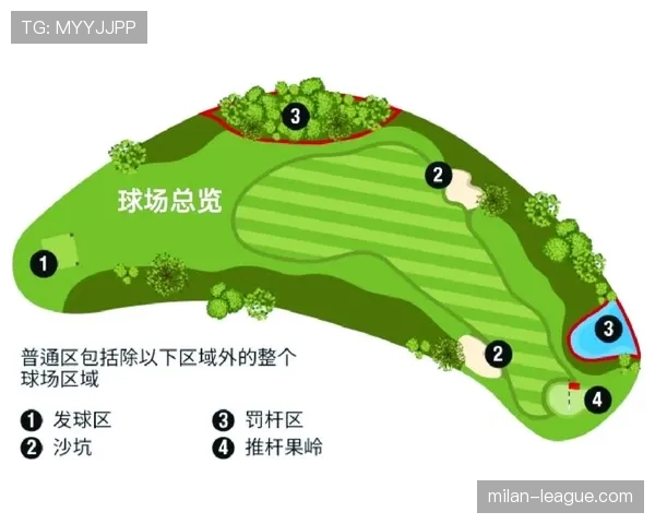 挑战判罚规则是什么?权威解读其判定标准与球场影响